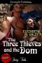 [The Witches' Mischief 03] • The Three Thieves and the Dom